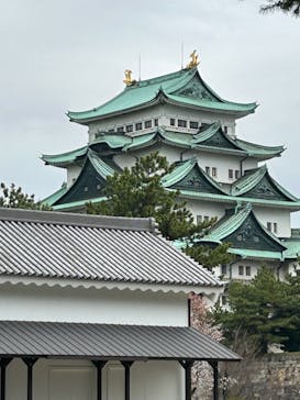 名古屋城に投稿された画像（2024/4/5）