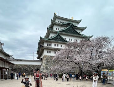 名古屋城に投稿された画像（2024/4/5）