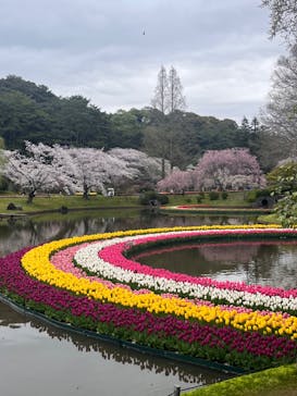 浜名湖花博2024に投稿された画像（2024/4/5）
