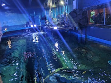 しながわ水族館に投稿された画像（2024/4/5）