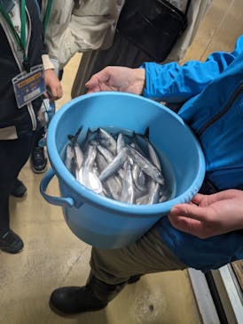 しながわ水族館に投稿された画像（2024/4/5）