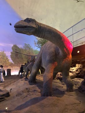 福井県立恐竜博物館に投稿された画像（2024/4/5）