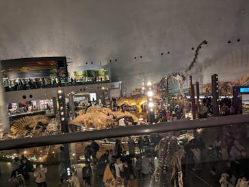 福井県立恐竜博物館に投稿された画像（2024/4/5）