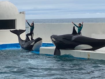 鴨川シーワールドに投稿された画像（2024/4/5）