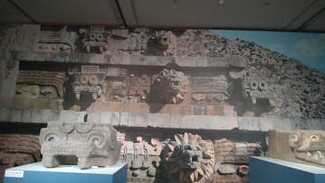 特別展「古代メキシコ ーマヤ、アステカ、テオティワカン」に投稿された画像（2024/4/5）