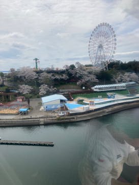 浜名湖パルパルに投稿された画像（2024/4/5）