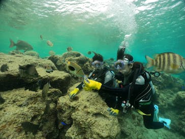 武藤潜水に投稿された画像（2024/4/5）