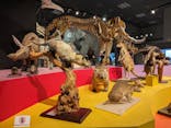 特別展「大哺乳類展３－わけてつなげて大行進」に投稿された画像（2024/4/5）