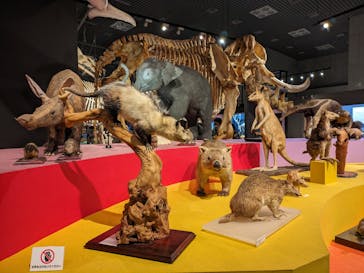 特別展「大哺乳類展３－わけてつなげて大行進」に投稿された画像（2024/4/5）