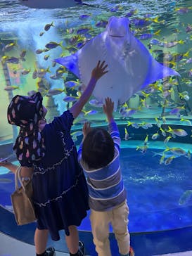 AQUARIUM × ART　atoaに投稿された画像（2024/4/5）