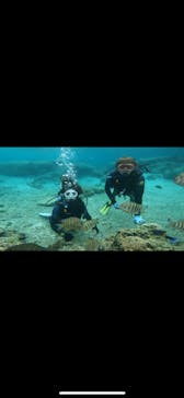 武藤潜水に投稿された画像（2024/4/5）
