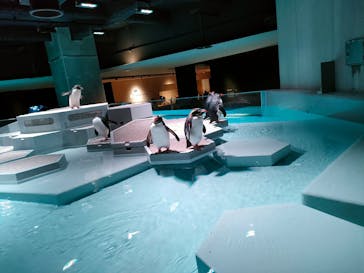 AOAO SAPPOROに投稿された画像（2024/4/5）