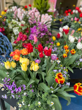 ひらかたパークに投稿された画像（2024/4/5）