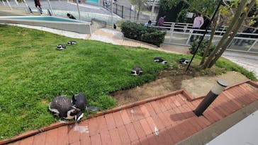 マリンワールド海の中道に投稿された画像（2024/4/5）