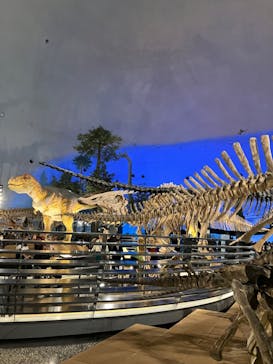 福井県立恐竜博物館に投稿された画像（2024/4/5）