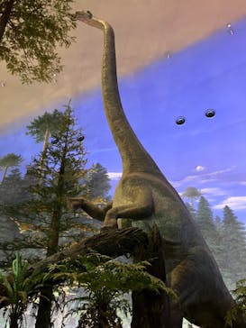 福井県立恐竜博物館に投稿された画像（2024/4/5）