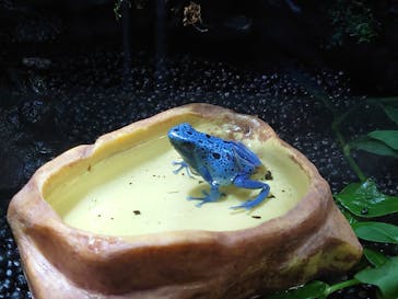 カワスイ 川崎⽔族館に投稿された画像（2024/4/5）