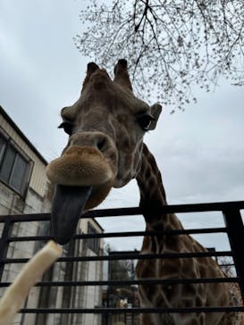 宇都宮動物園に投稿された画像（2024/4/5）
