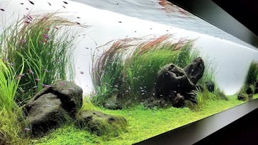 AOAO SAPPOROに投稿された画像（2024/4/5）