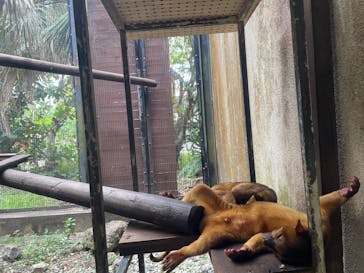 ネオパークオキナワに投稿された画像（2024/4/5）