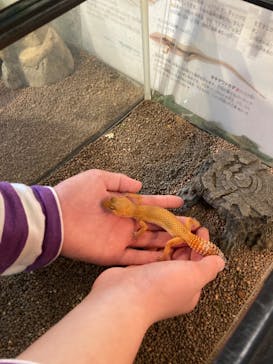 いきもの探検隊上尾に投稿された画像（2024/4/5）