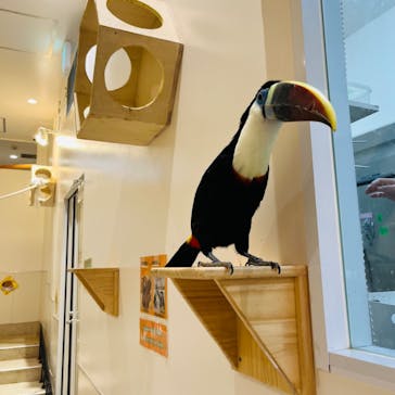 アニタッチららぽーと名古屋みなとアクルスに投稿された画像（2024/4/5）