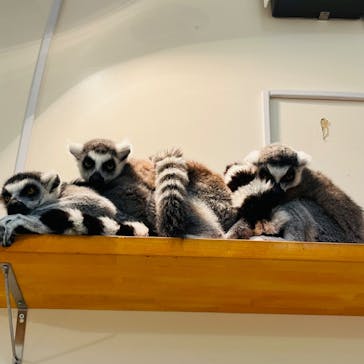 アニタッチららぽーと名古屋みなとアクルスに投稿された画像（2024/4/5）