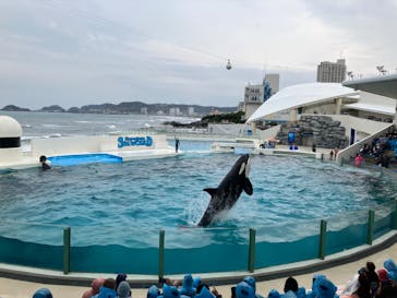 鴨川シーワールドに投稿された画像（2024/4/5）
