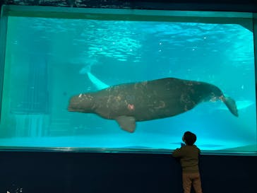 鴨川シーワールドに投稿された画像（2024/4/5）