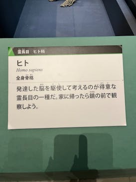 特別展「大哺乳類展３－わけてつなげて大行進」に投稿された画像（2024/4/5）