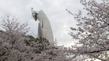 万博記念公園に投稿された画像（2024/4/5）