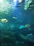 新江ノ島水族館に投稿された画像（2024/4/5）