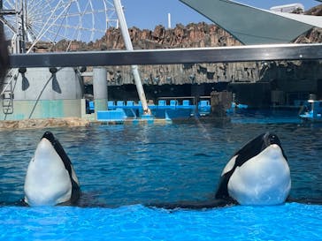 名古屋港水族館に投稿された画像（2024/4/5）