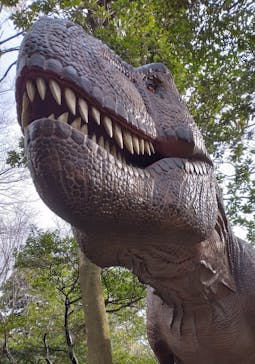 芝政ワールドに投稿された画像（2024/4/5）