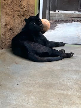 日立市かみね動物園に投稿された画像（2024/4/5）