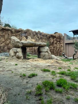 日立市かみね動物園に投稿された画像（2024/4/5）