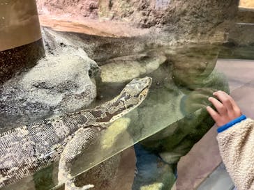 日立市かみね動物園に投稿された画像（2024/4/5）