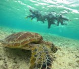 初心者専門宮古島シュノーケリングツアーに投稿された画像（2024/4/5）