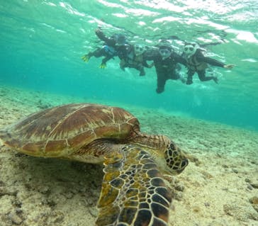 初心者専門宮古島シュノーケリングツアーに投稿された画像（2024/4/5）