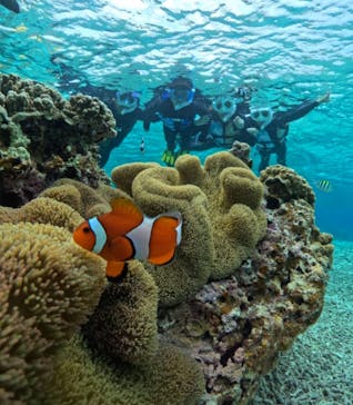 初心者専門宮古島シュノーケリングツアーに投稿された画像（2024/4/5）