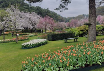 浜名湖花博2024に投稿された画像（2024/4/5）
