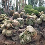 伊豆シャボテン動物公園に投稿された画像（2024/4/5）