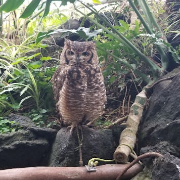 伊豆シャボテン動物公園に投稿された画像（2024/4/5）