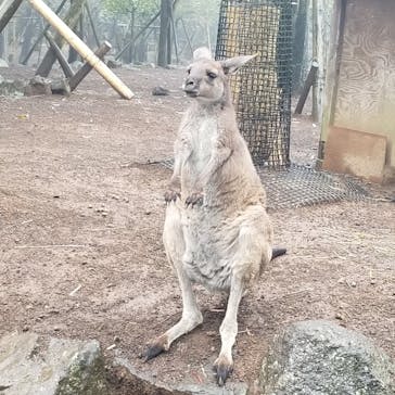 伊豆シャボテン動物公園に投稿された画像（2024/4/5）