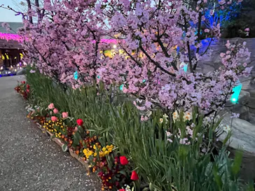 ひらかたパークに投稿された画像（2024/4/5）