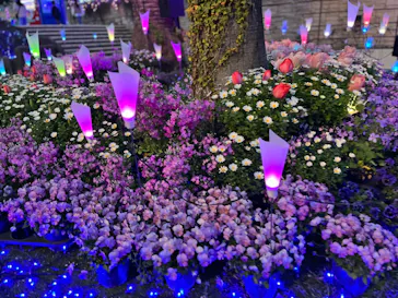 ひらかたパークに投稿された画像（2024/4/5）