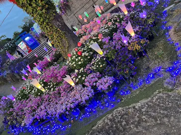 ひらかたパークに投稿された画像（2024/4/5）