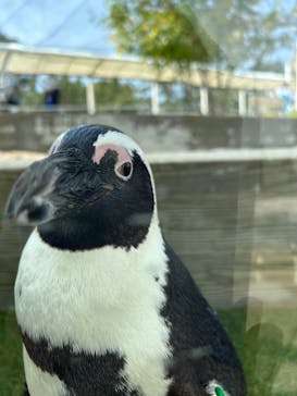 マリンワールド海の中道に投稿された画像（2024/4/5）