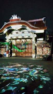 NAKED meets 二条城 2025 観月に投稿された画像（2024/4/5）