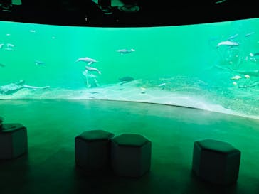 カワスイ 川崎⽔族館に投稿された画像（2024/4/5）